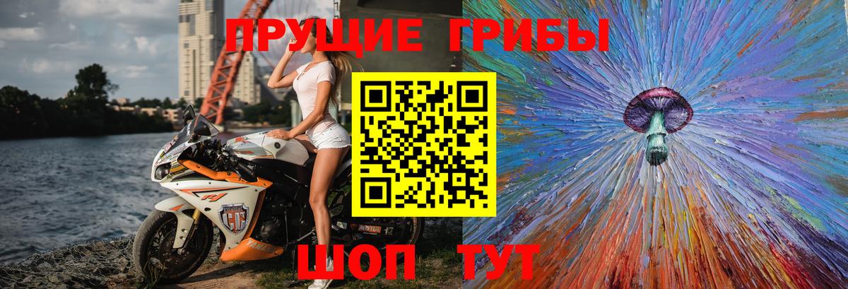 Галлюциногенные грибы Psilocybe Городец