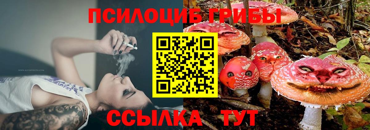 Псилоцибиновые грибы прущие грибы  Вход с VPN  Городец 